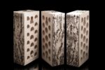 Берёза — изображение 6